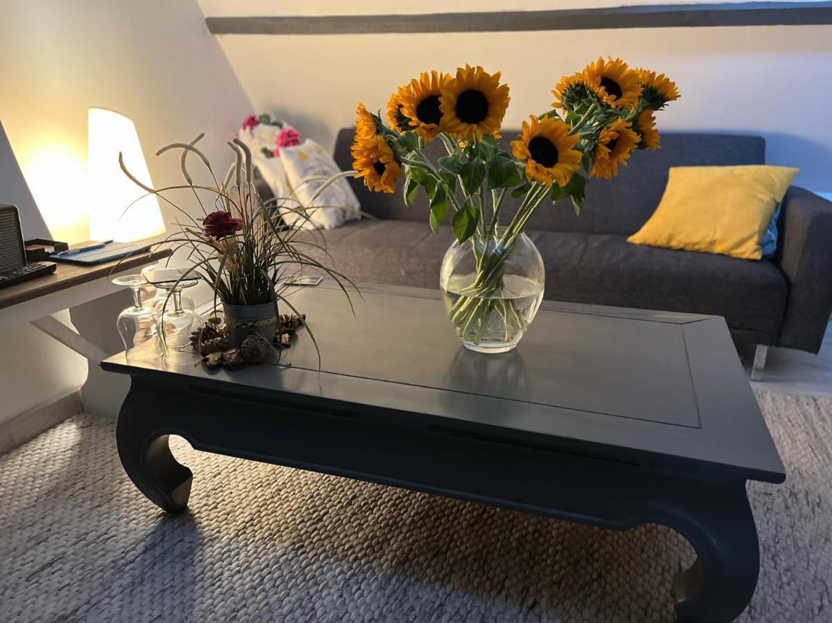 maison 2 personnes tout confort alentours boulogne sur mer Samer Extérieur photo